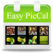 Easy PicCal
