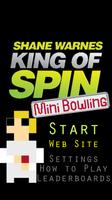 Shane Warne - KoS Mini Bowling Affiche