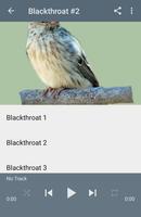 Masteran Burung Blackthroat ภาพหน้าจอ 3