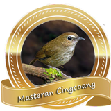 Masteran Burung Cingcoang icône