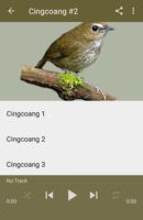 Masteran Burung Cingcoang Ekran Görüntüsü 3