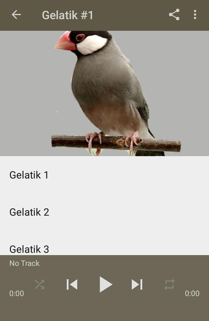Masteran Burung Gelatik For Android Apk Download
