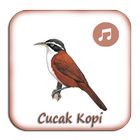 Kicau Cucak Kopi Gacor Pikat icon