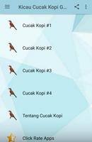 Kicau Cucak Kopi Gacor Pikat imagem de tela 1