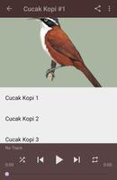 برنامه‌نما Kicau Cucak Kopi Gacor Pikat عکس از صفحه