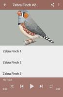 Kicau Zebra Finch Gacor Pikat स्क्रीनशॉट 3