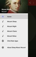 Sleep Music Mozart Cartaz