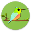 Hummin' Bird icon