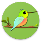 Hummin' Bird icône