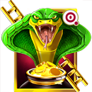 Snakes And Ladders Matka APK