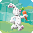 Super Bunny RUN 1 icono