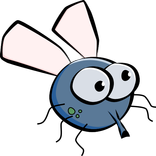 Shoo Fly