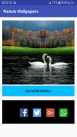 Nature Wallpapers Affiche