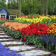 giardino fiorito di puzzle