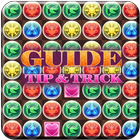 Guide For Puzzle & Dragons icône