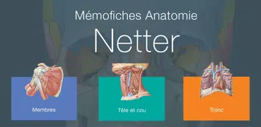 Mémofiches Anatomie Netter