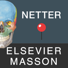 Mémofiches Anatomie Netter ikon