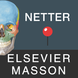 Mémofiches Anatomie Netter APK