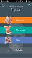 Mémofiches Anatomie Netter Plakat
