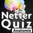 Netter Quiz
