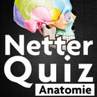 آیکون‌ Netter Quiz