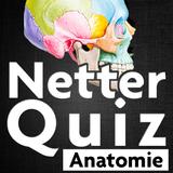 Netter Quiz icône