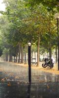 Rainy Paris Live Wallpaper โปสเตอร์