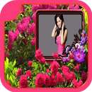 Ross Photo Frame APK