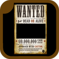 Wanted Photo Frame