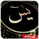 Surat Yasin Mp3 Offline APK
