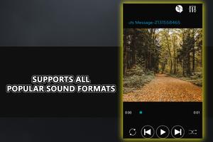 Offline Music Player screenshot 2