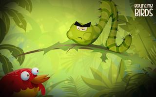 Bouncing Birds پوسٹر