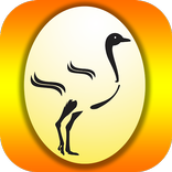 Óleo de Avestruz - Loja Oficial Amazon Struthio ®