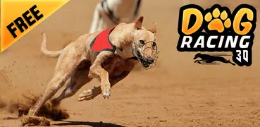 Greyhound Dog Racing 3D