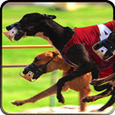 Chien Greyhound Racing 3D APK