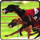 Chien Greyhound Racing 3D icône