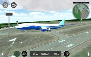Flight Sim الملصق