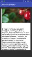 برنامه‌نما Лечебные ягоды عکس از صفحه