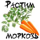 Растим морковь APK