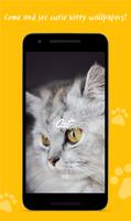 Cat wallpapers (OGQ backgrounds HD) 스크린샷 1