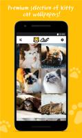 Cat wallpapers (OGQ backgrounds HD) screenshot 2