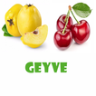 Geyve