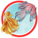 Betta Fish Live Wallpaper APK