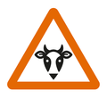 OIE Rinderpest Serious Game