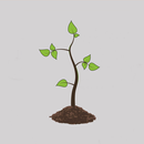 New Beginnings App APK