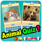 Animal Quiz иконка