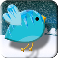 Oiseau Snouy