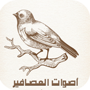 أجمل أصوات العصافير APK