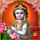 Nepali Bhajans of Sri Krishna Videos APK