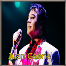 Juan Gabriel - Amor Eterno APK
